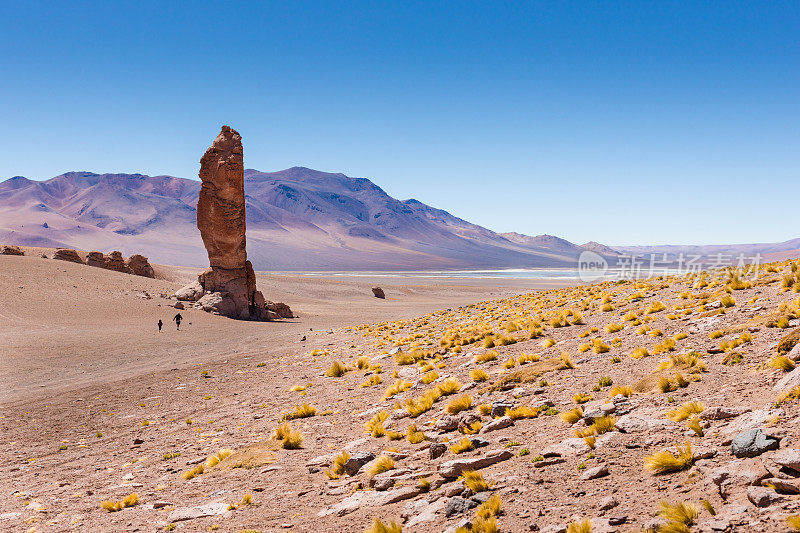 智利阿塔卡马沙漠Los Flamencos国家保护区的Salar de Tara